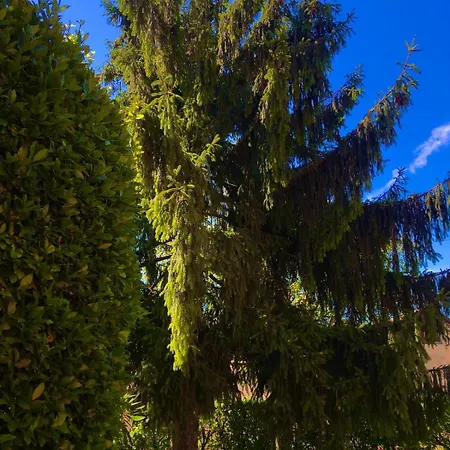 アパート Stunning Renovated Flat On With Parking